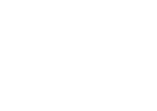 FEB logo blanco